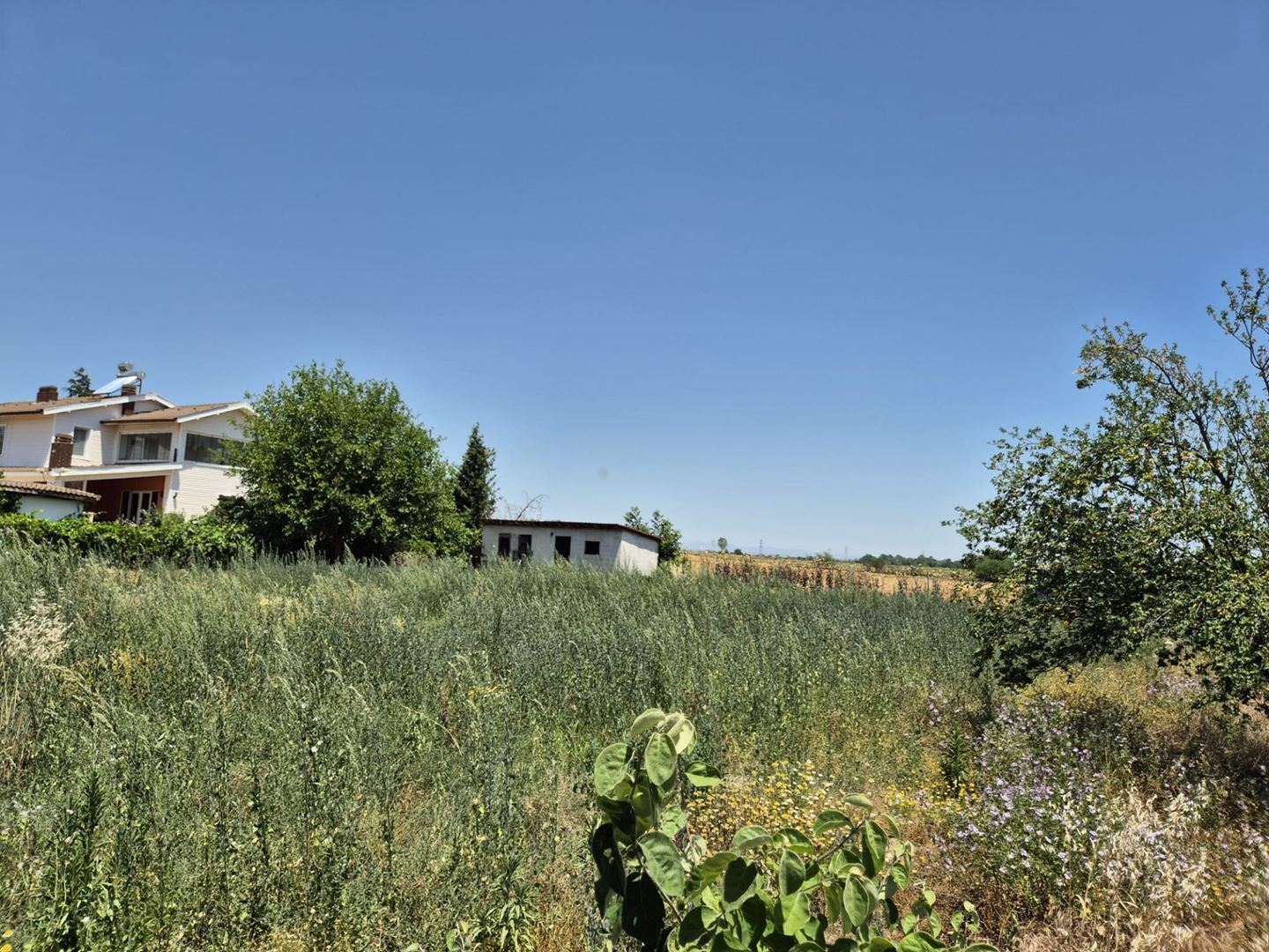 Property-photo