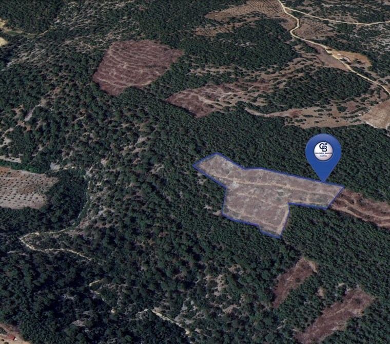 MUĞLA MENTEŞE FADILCADA FIRSAT 10.143 m² TEK PARÇA TARLA