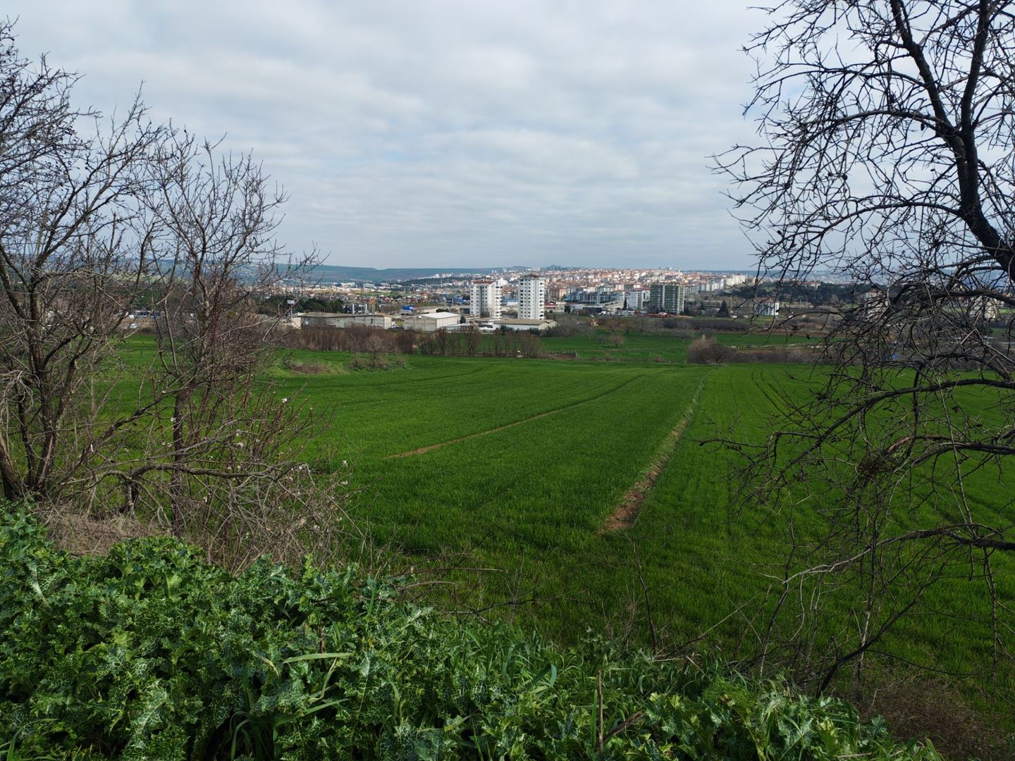 Property-photo