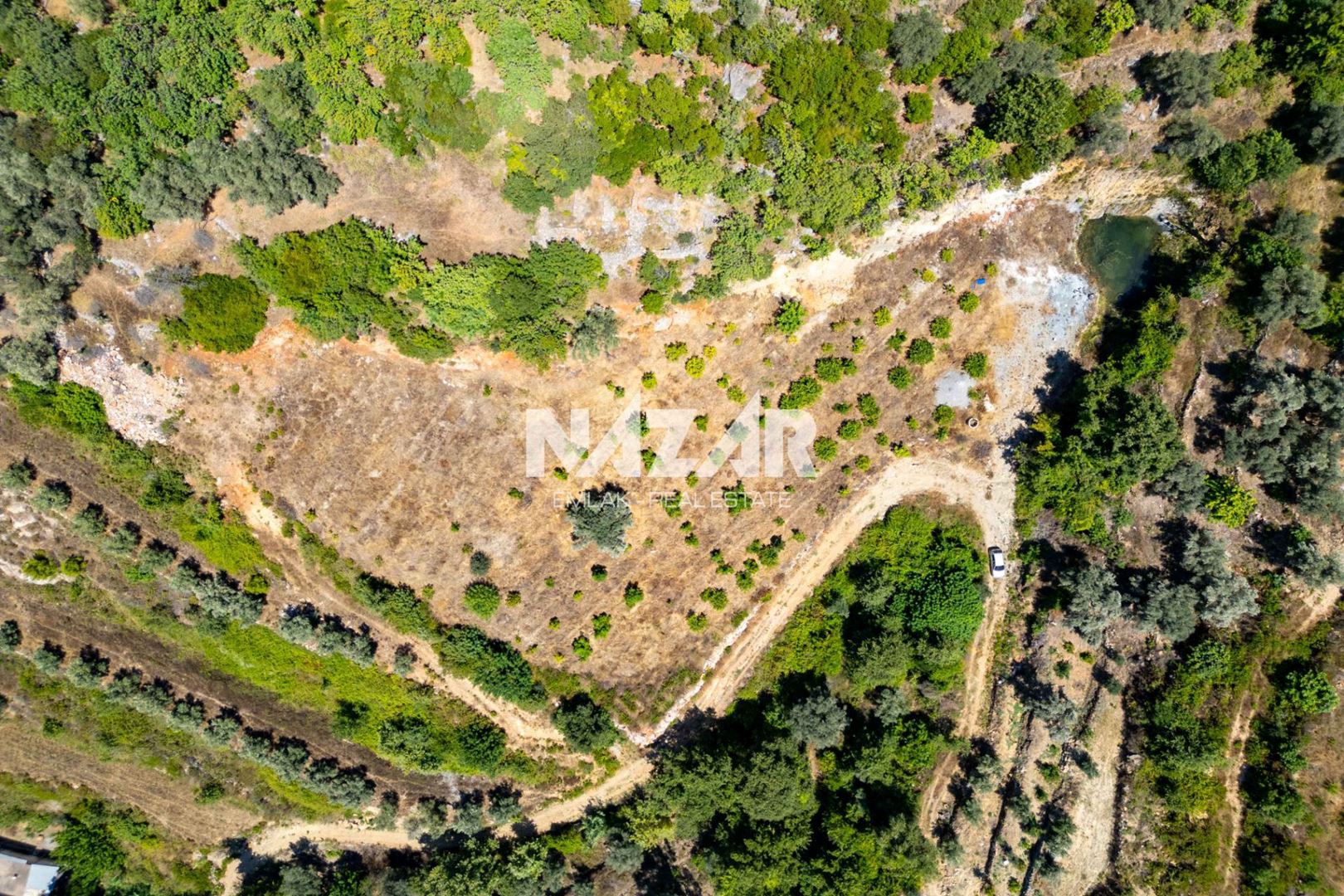 Property-photo