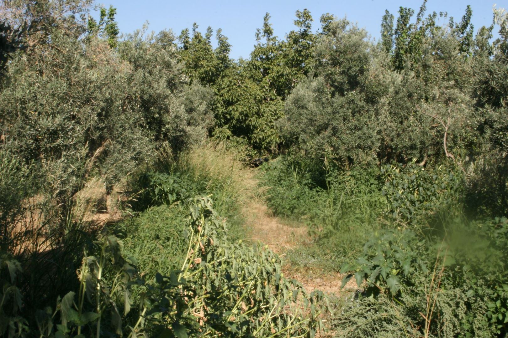 Property-photo