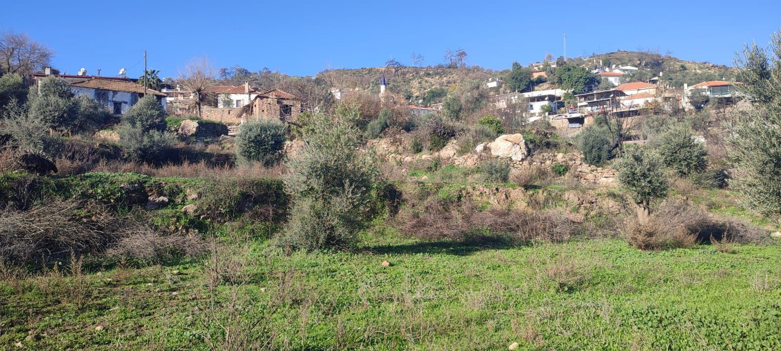 Property-photo