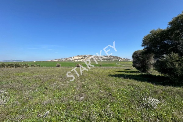Property-photo