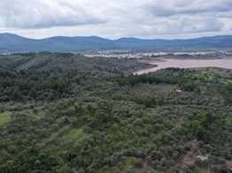 Mumcular Bahçe yakasında satılık 20.230 M2 zeytinli tarla
