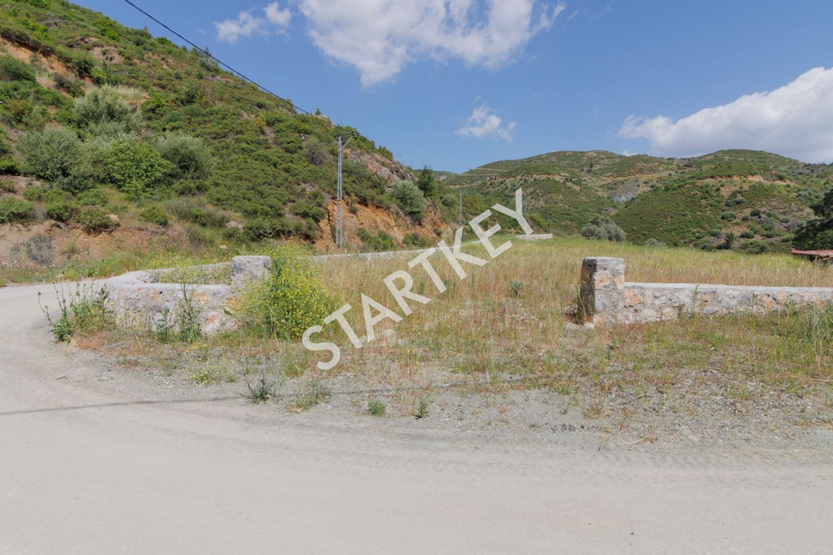 Property-photo