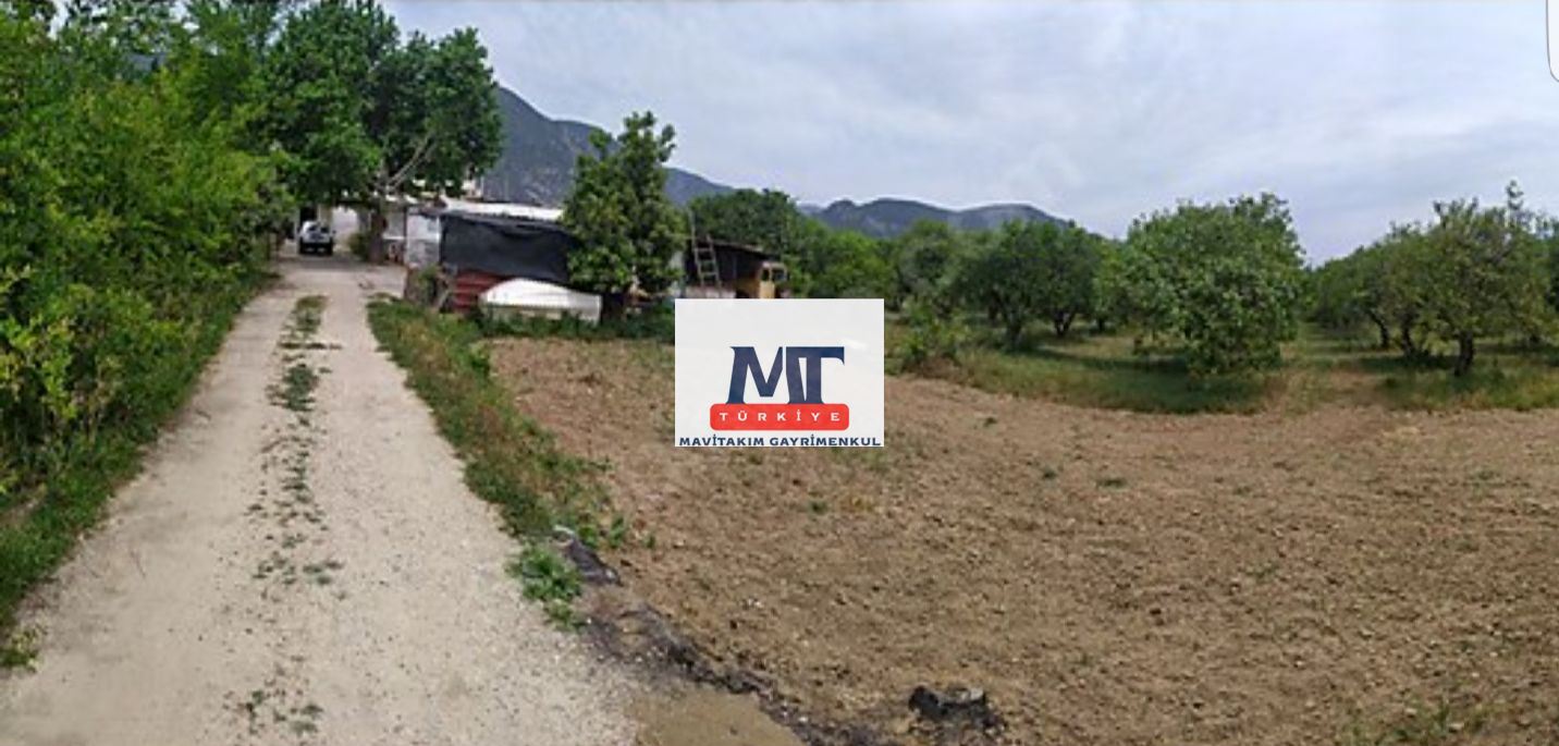 Property-photo
