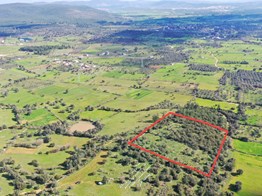 Bodrum Pınarlıbelen'de satılık 13.426M2 tarla