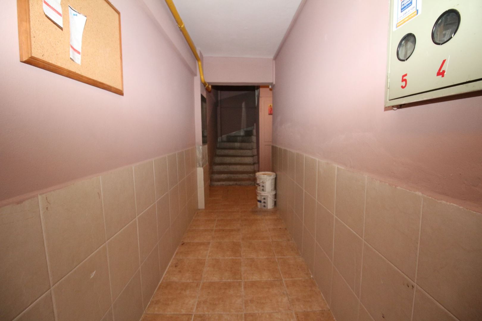 20646749