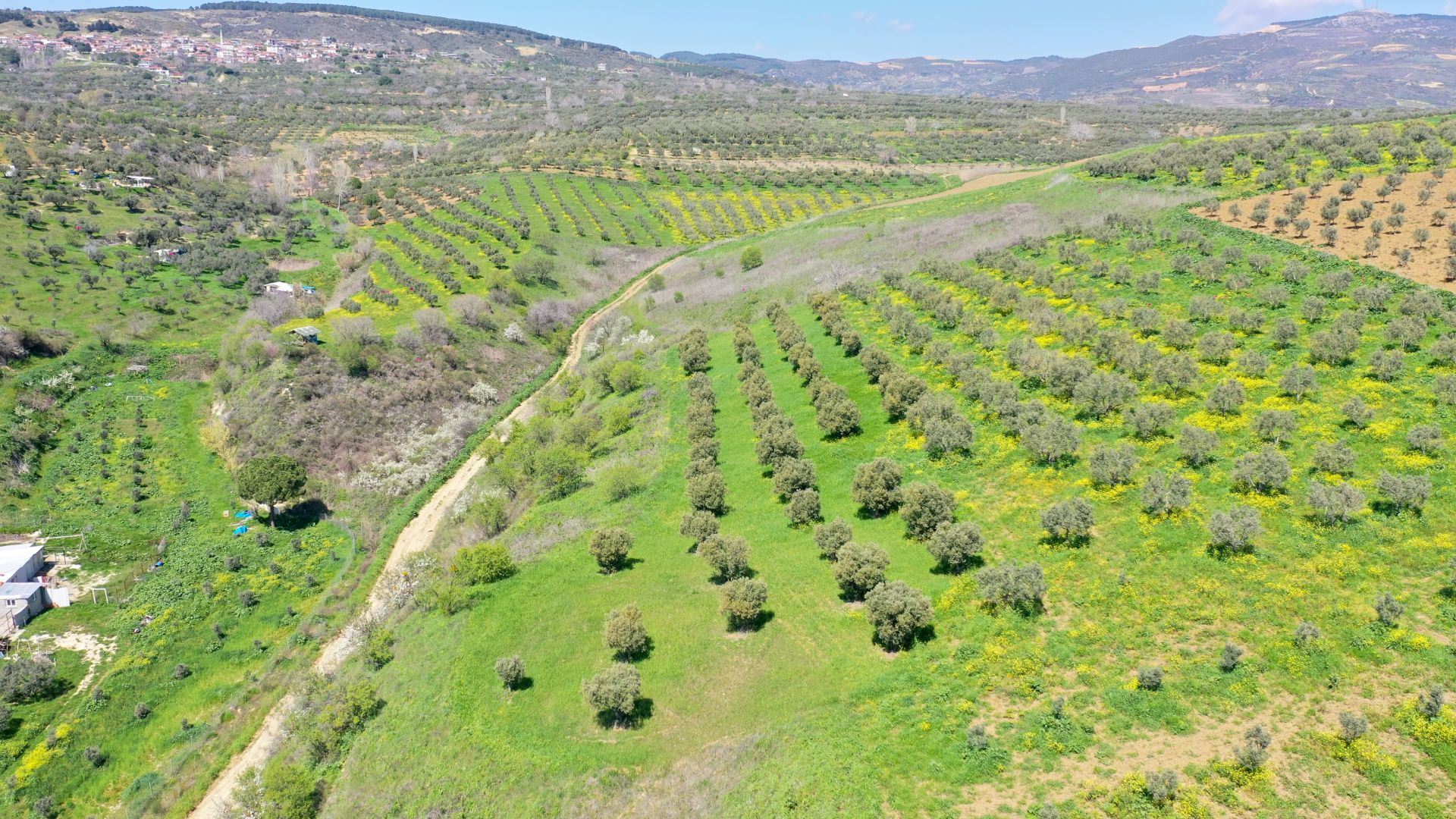 Property-photo