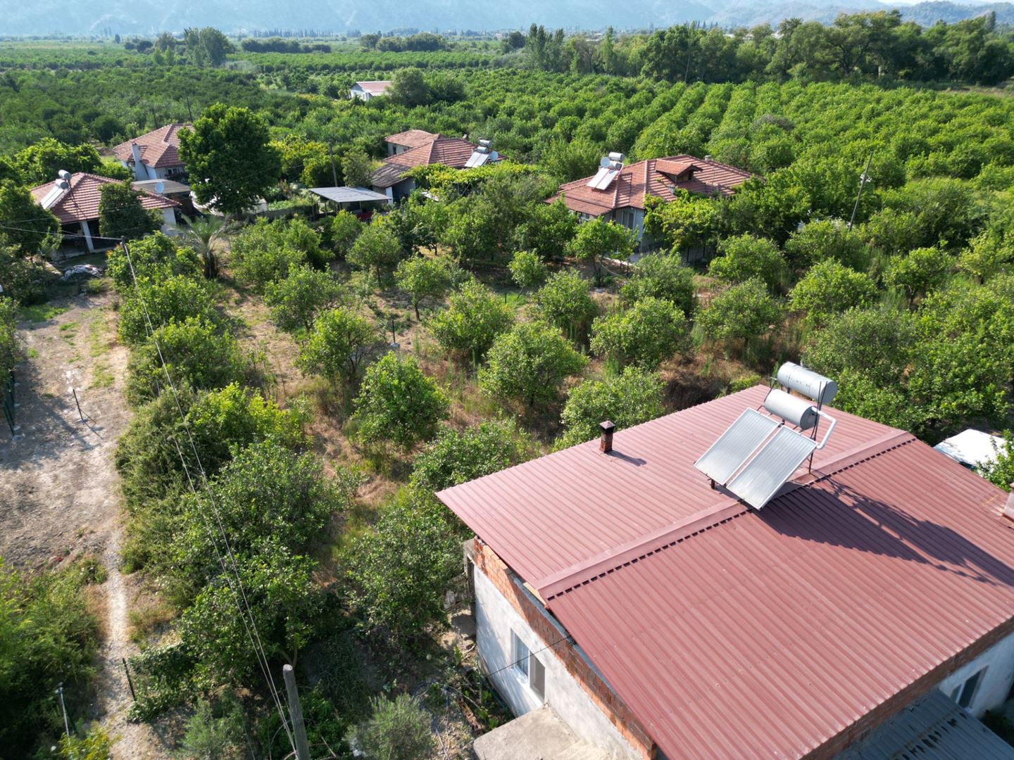 Property-photo