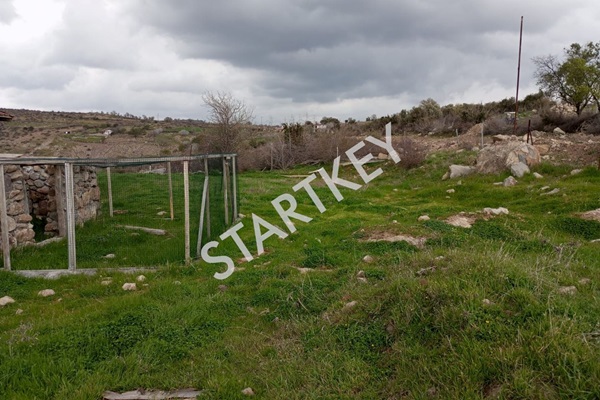 Property-photo