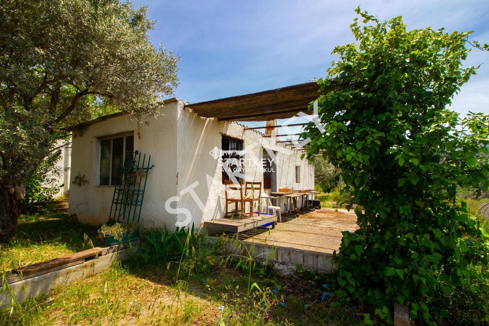 Property-photo