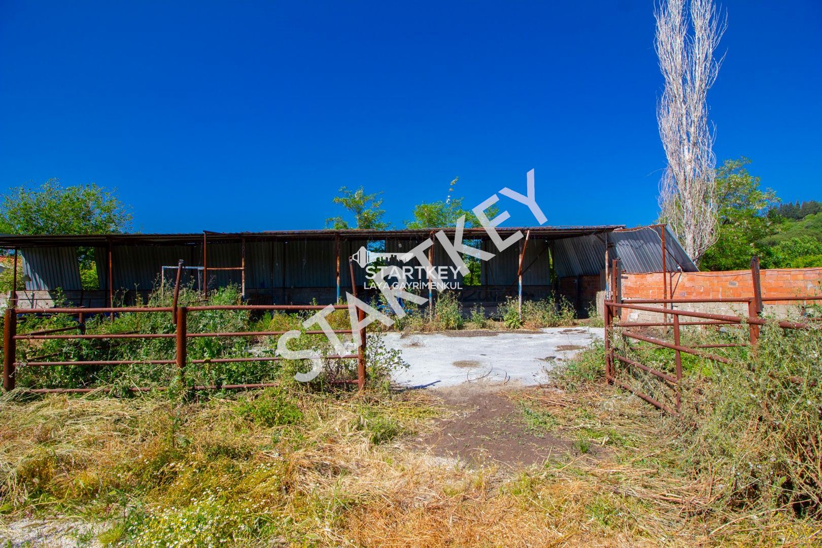 Property-photo