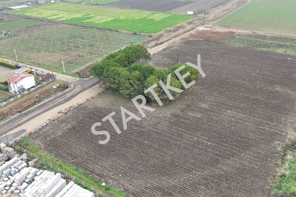 Property-photo