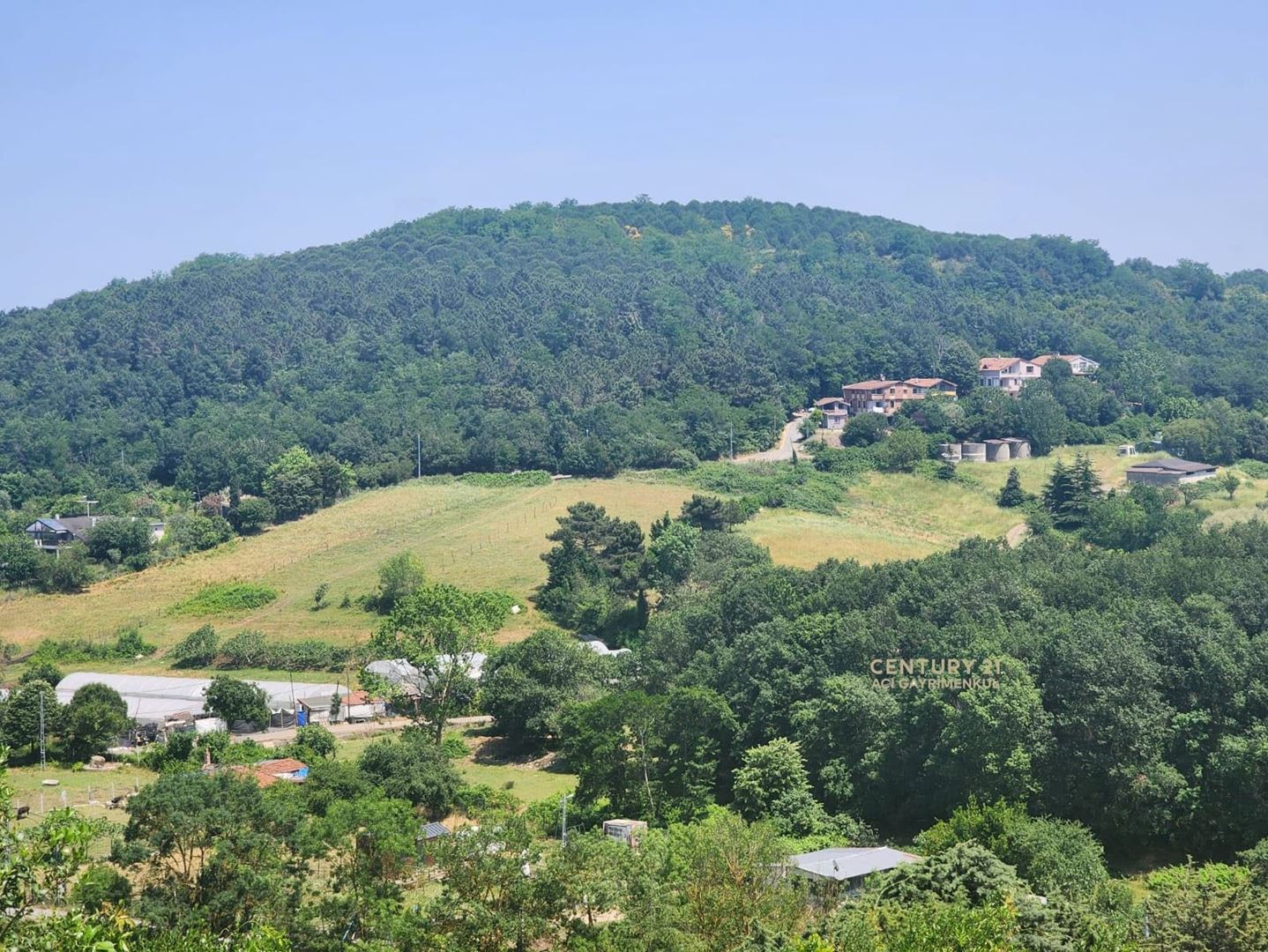 Property-photo