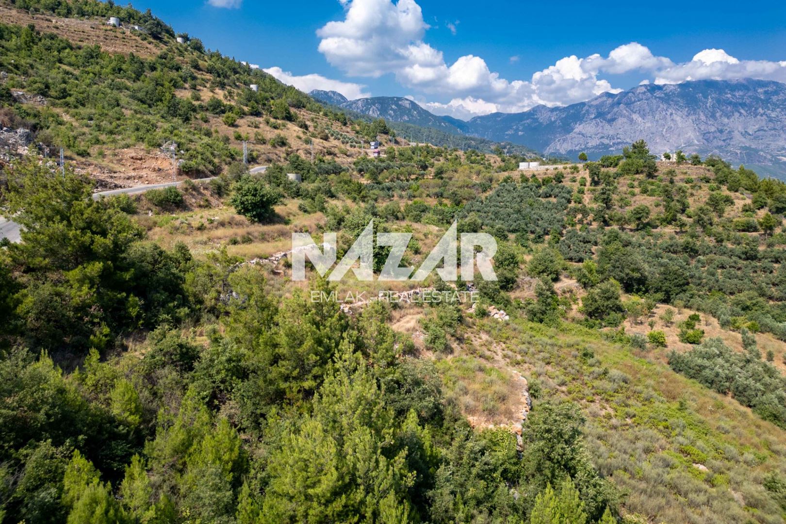 Property-photo