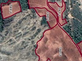 KARAİSALI’DA SATILIK 137 DÖNÜM NAR & CEVİZ BAHÇESİ | YÜKSEK VERİMLİ TARIMSAL YATIRIM