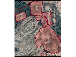 KARAİSALI’DA SATILIK 137 DÖNÜM NAR & CEVİZ BAHÇESİ | YÜKSEK VERİMLİ TARIMSAL YATIRIM