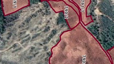 KARAİSALI’DA SATILIK 137 DÖNÜM NAR & CEVİZ BAHÇESİ | YÜKSEK VERİMLİ TARIMSAL YATIRIM