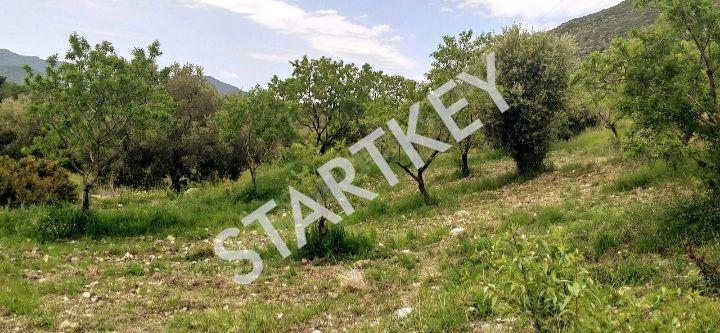 Yazı'da Satılık Tarla