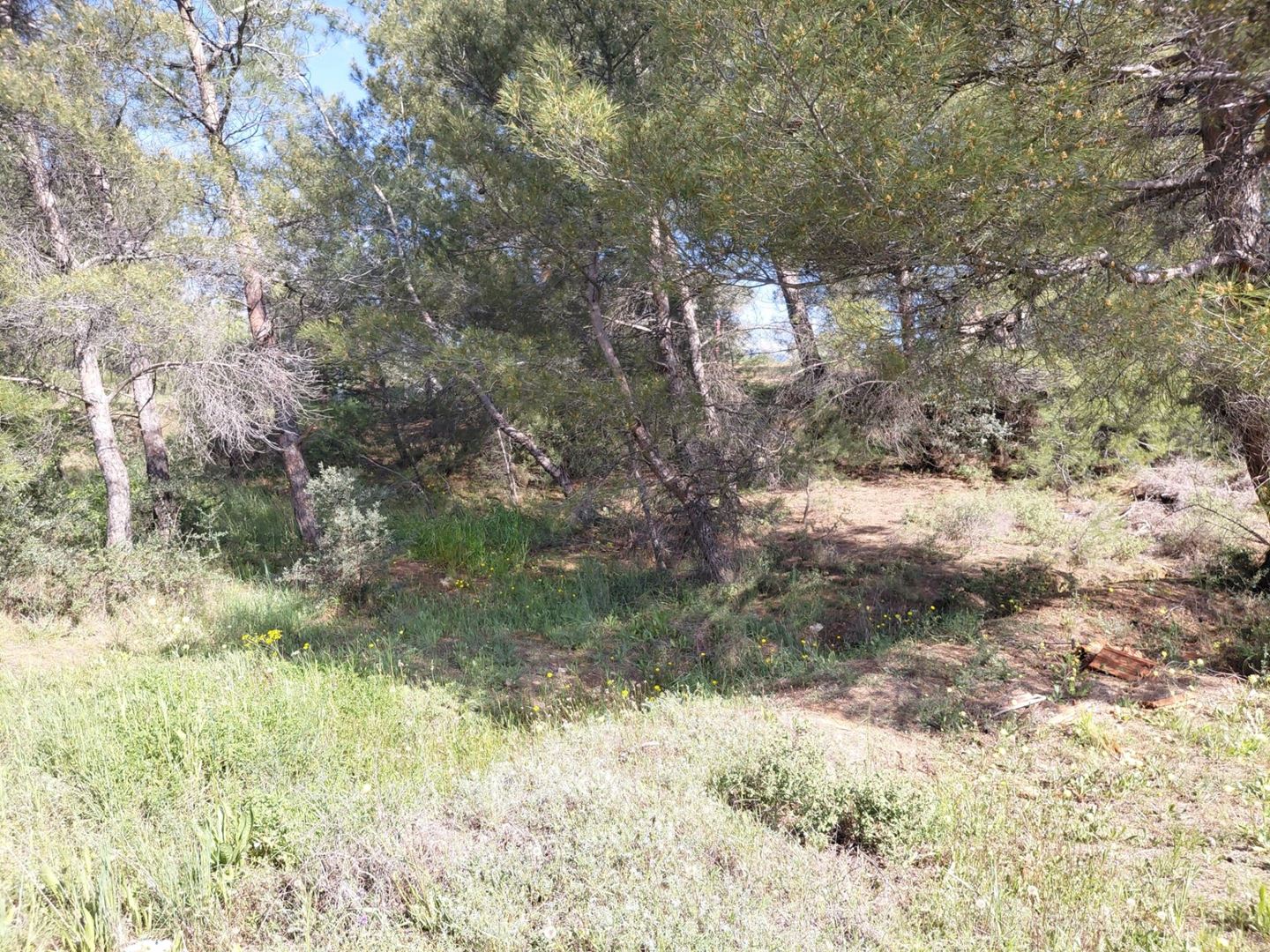 Property-photo