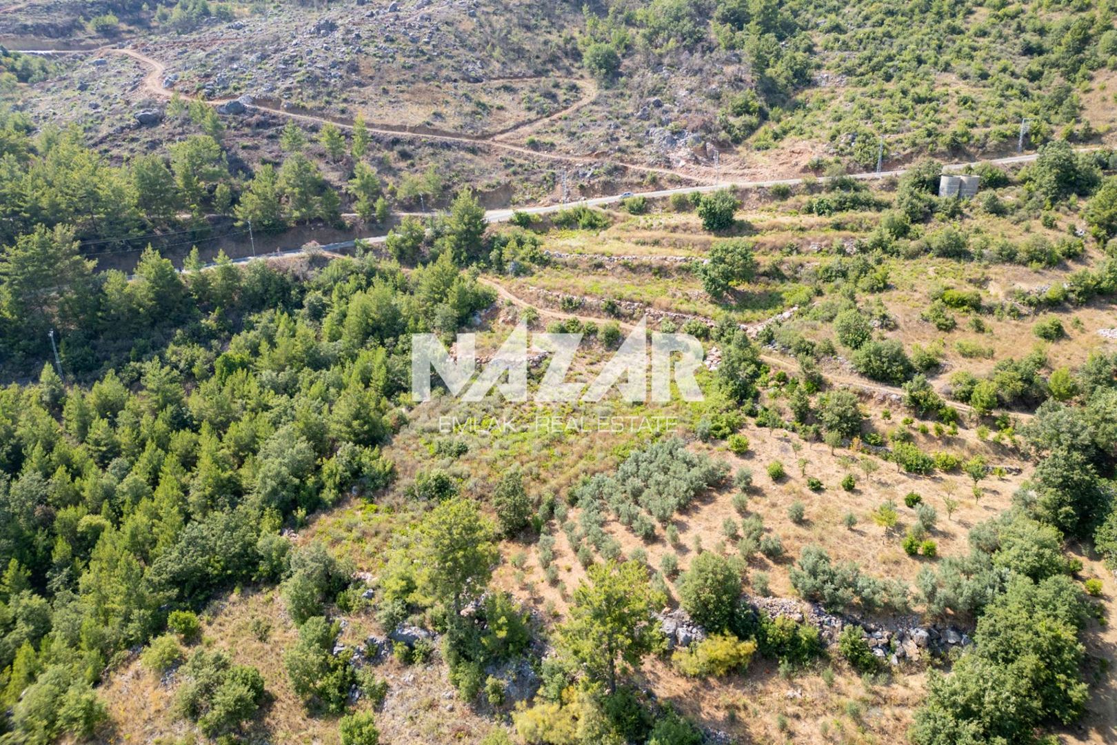 Property-photo