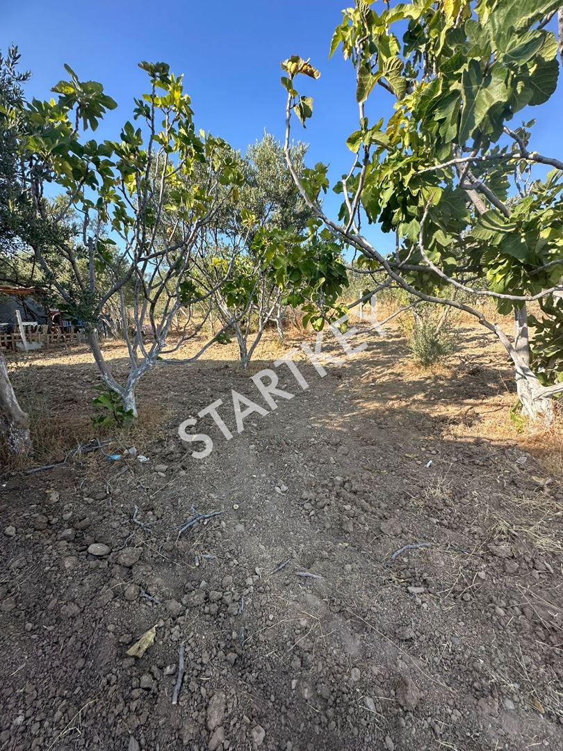 Property-photo