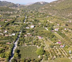 KUŞADASI KİRAZLI KÖYÜNE SINIR GÖKÇEALAN KÖYÜNDE ARAZİ