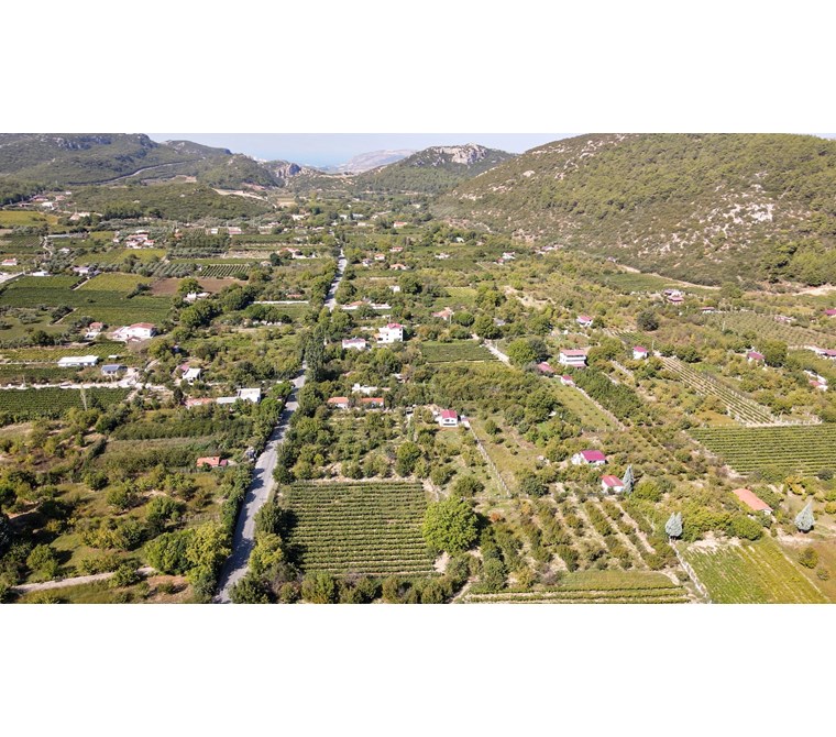 KUŞADASI KİRAZLI KÖYÜNE SINIR GÖKÇEALAN KÖYÜNDE ARAZİ