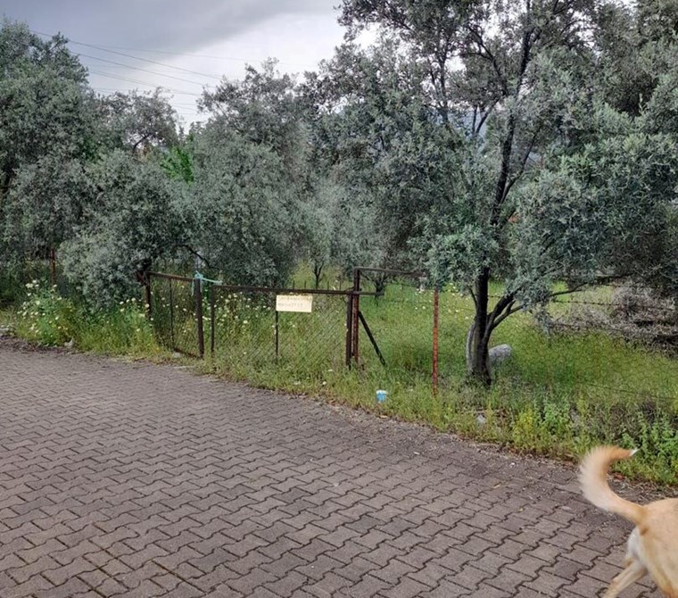 köyceğiz toparlar mah. satılık imarlı 1960 m2 arsa