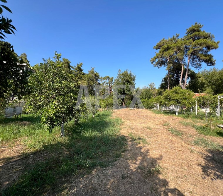 Antalya Konyaaltı Doyran Satılık Müstakil Tarla - Su Yol Mevcut