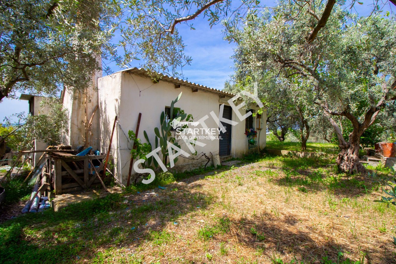 Property-photo