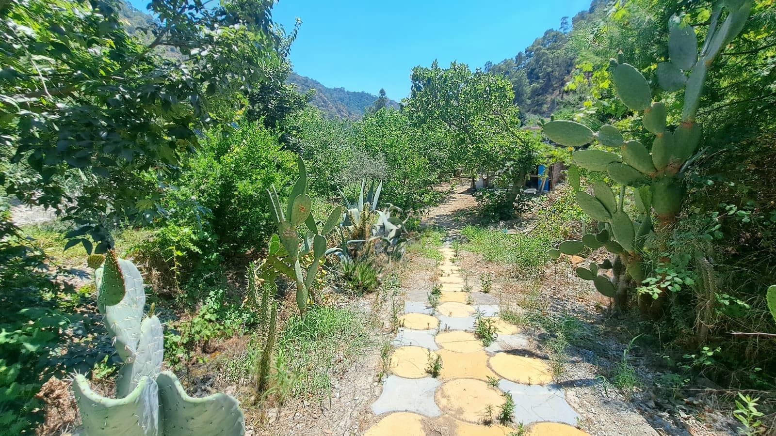 Property-photo