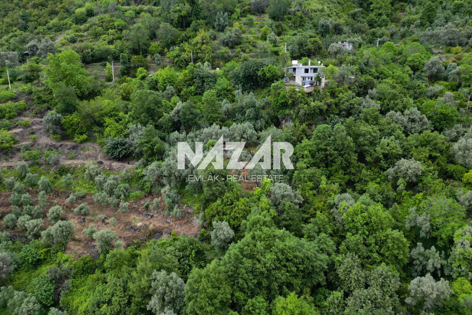 Property-photo