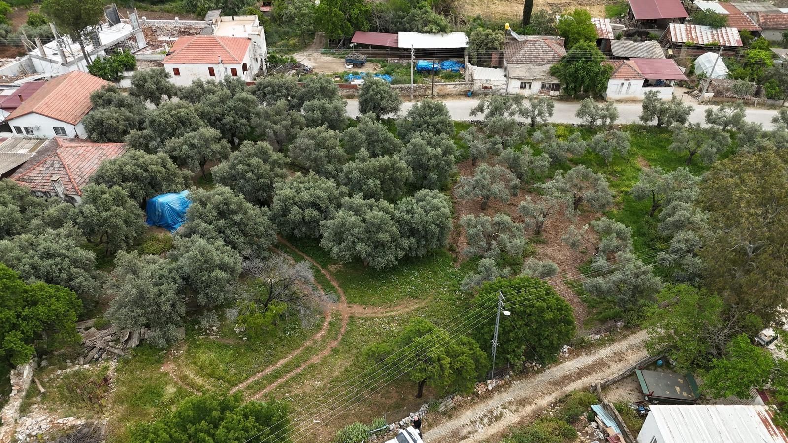 Property-photo