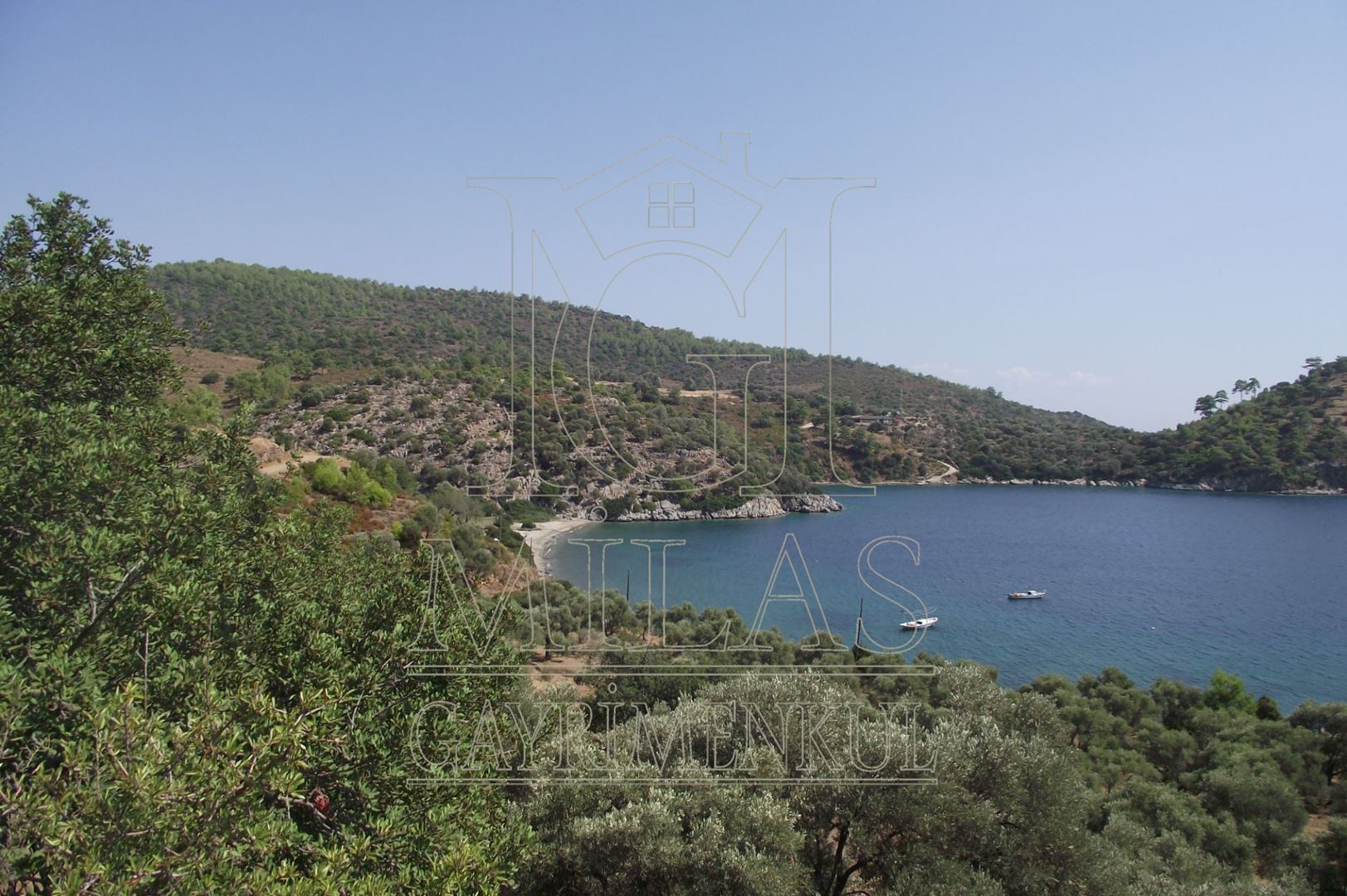 Property-photo