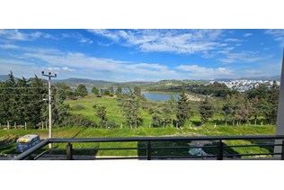 property-1