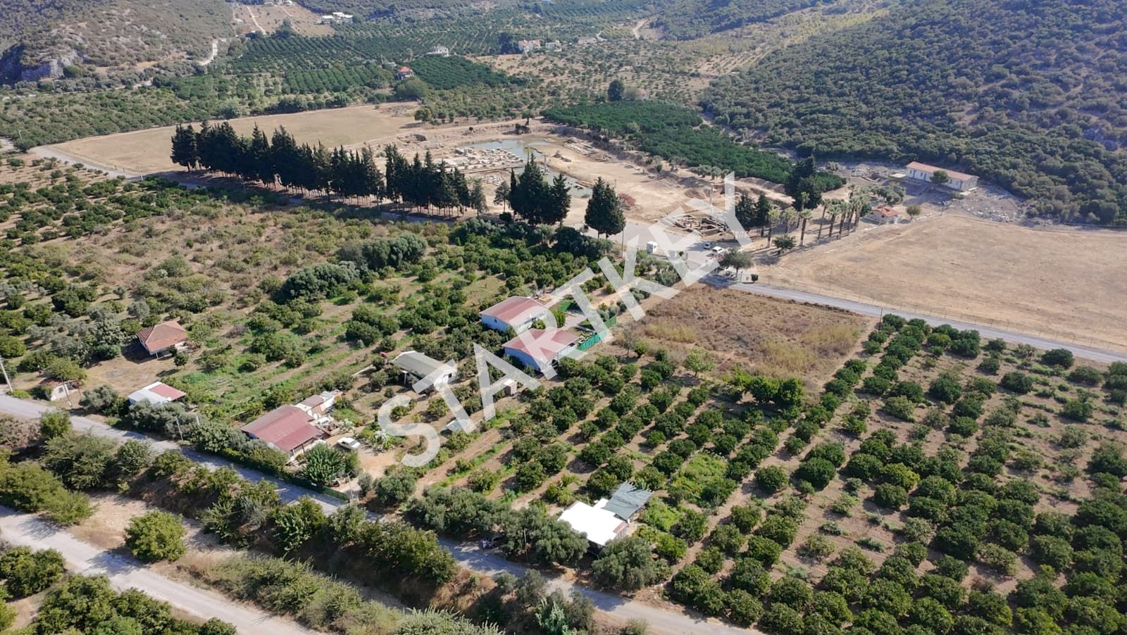 Property-photo