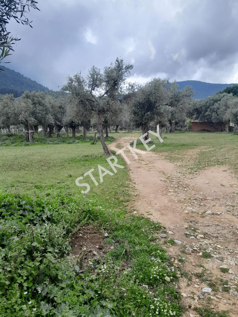Property-photo