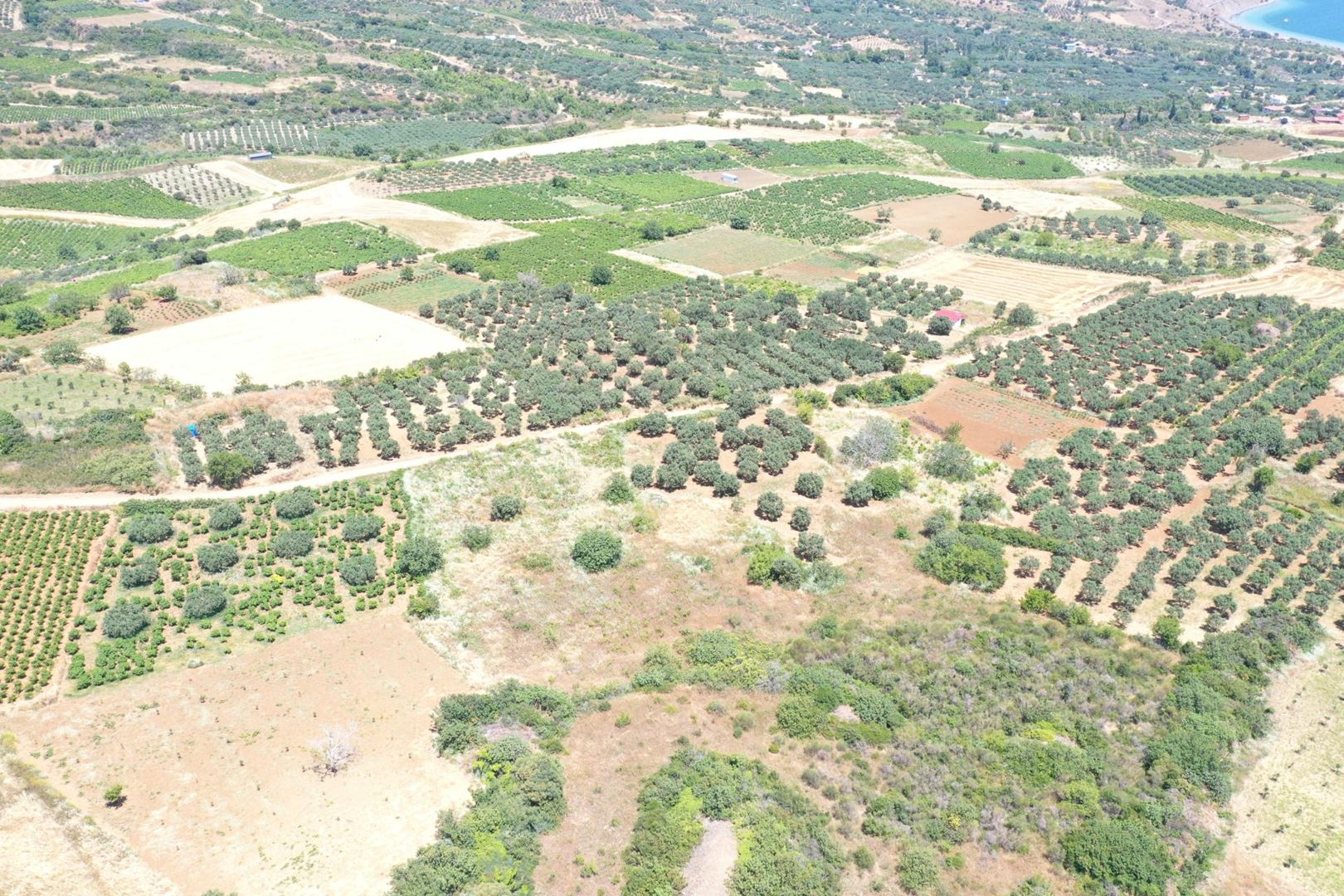 Property-photo