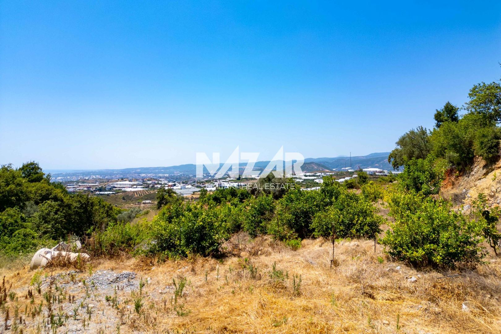 Property-photo