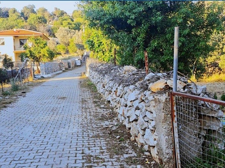 MÜJGAN EMLAKTAN TAŞLICA KÖY İÇİNDE YOLA CEPHELİ TARLA