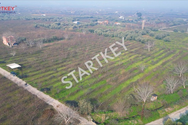 Property-photo