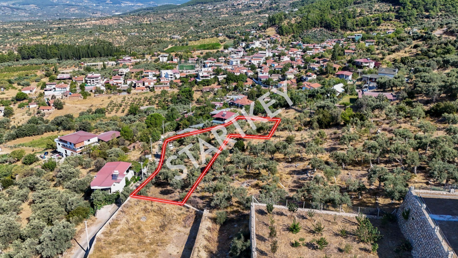 Property-photo