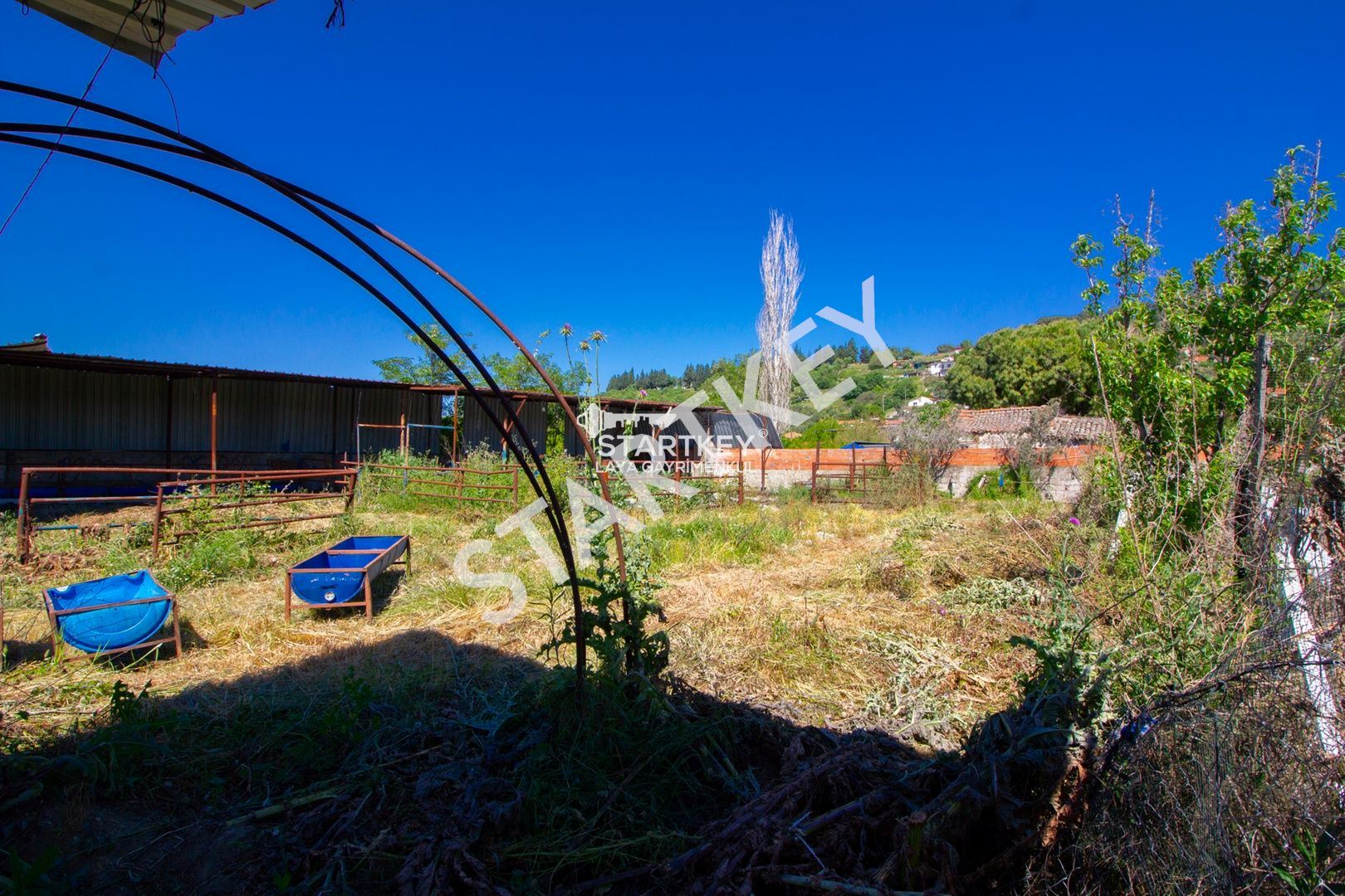 Property-photo
