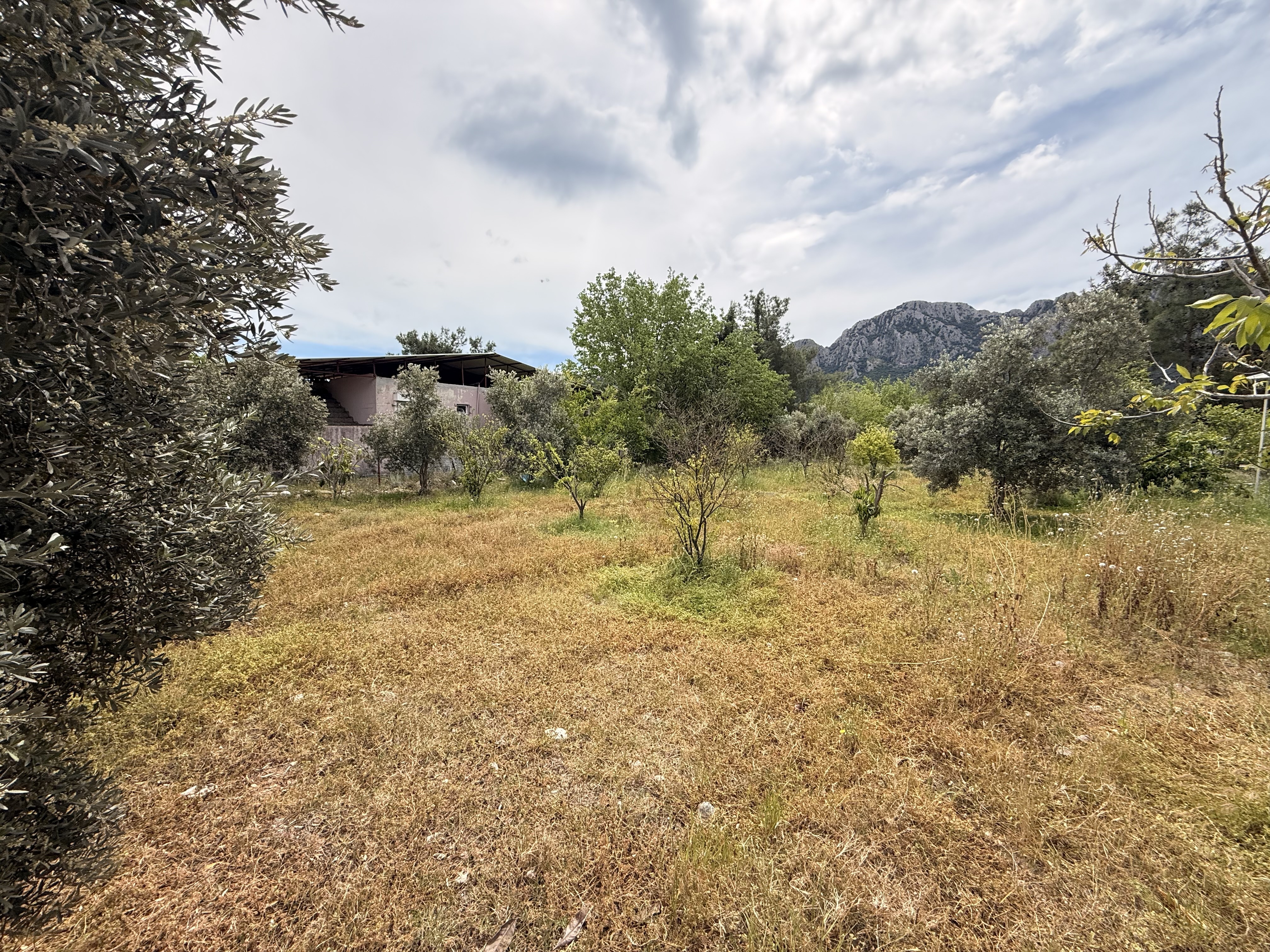 Property-photo