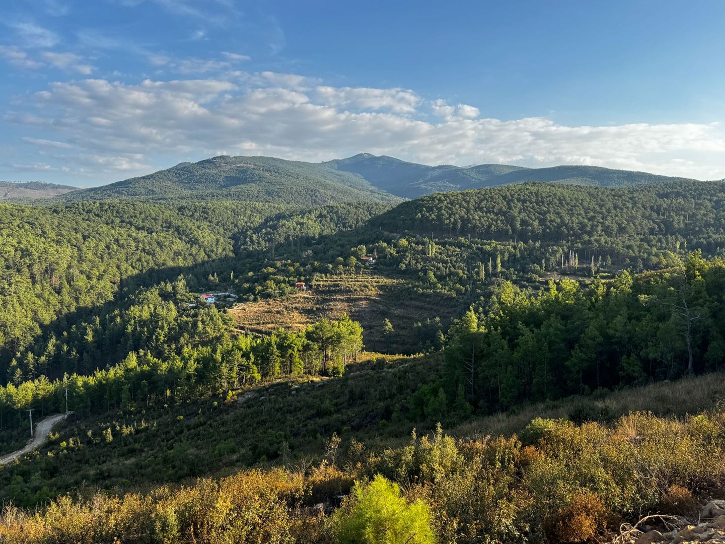 Property-photo