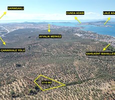 ALTIN EMLAKTAN SAKARYA MAH. SATILIK 5108 M2 VERİMLİ ZEYTİNLİK