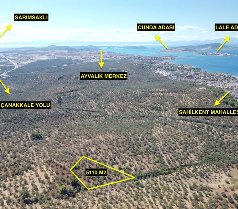 ALTIN EMLAKTAN SAKARYA MAH. SATILIK 5108 M2 VERİMLİ ZEYTİNLİK