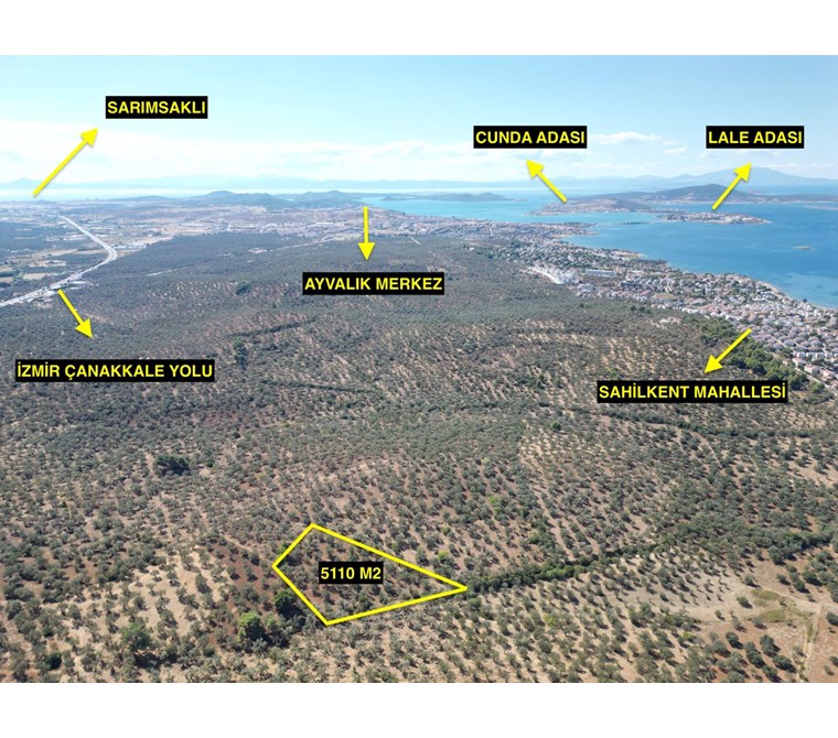 ALTIN EMLAKTAN SAKARYA MAH. SATILIK 5108 M2 VERİMLİ ZEYTİNLİK